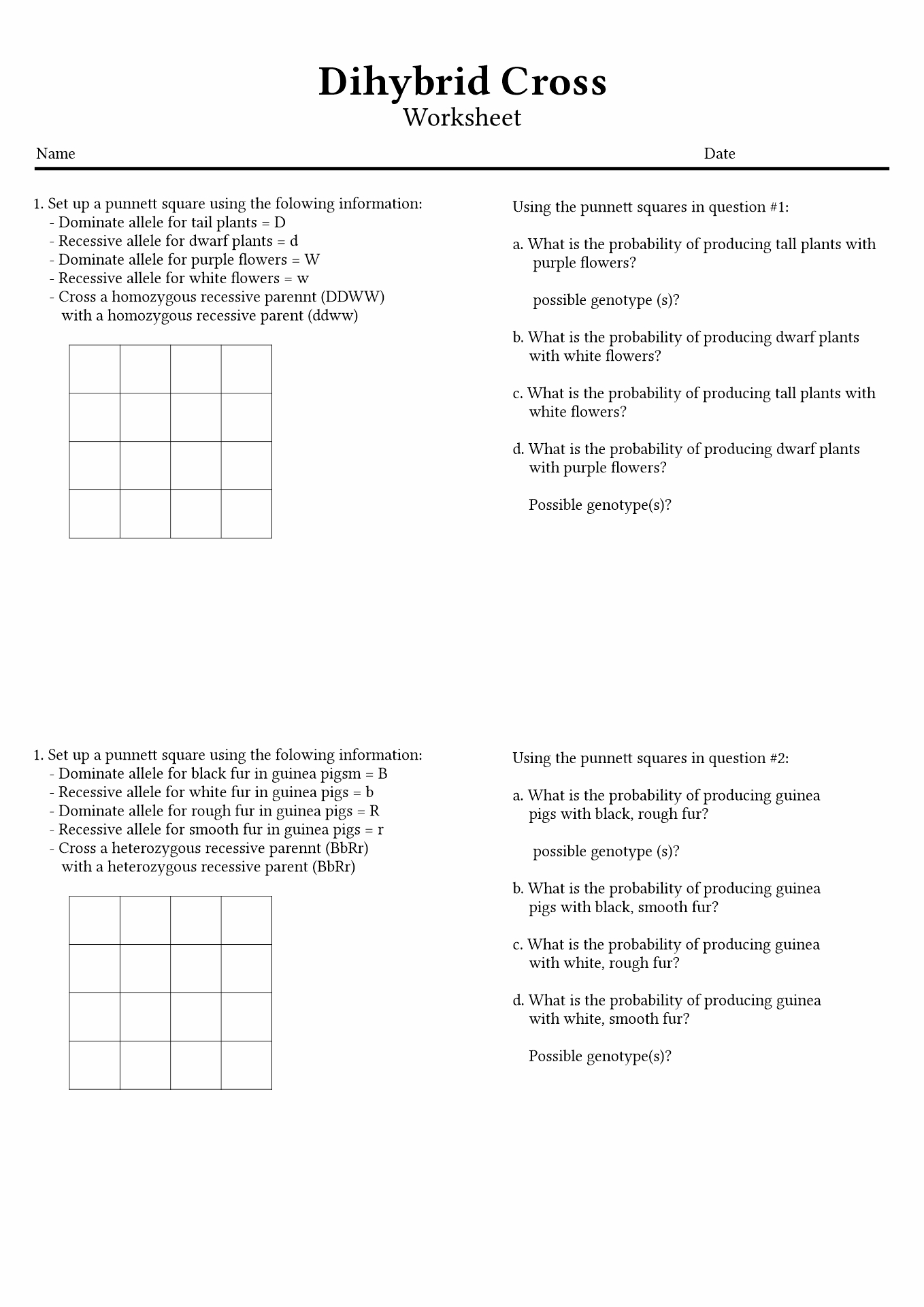 15 Best Images of Punnett Square Worksheet Answer Key 