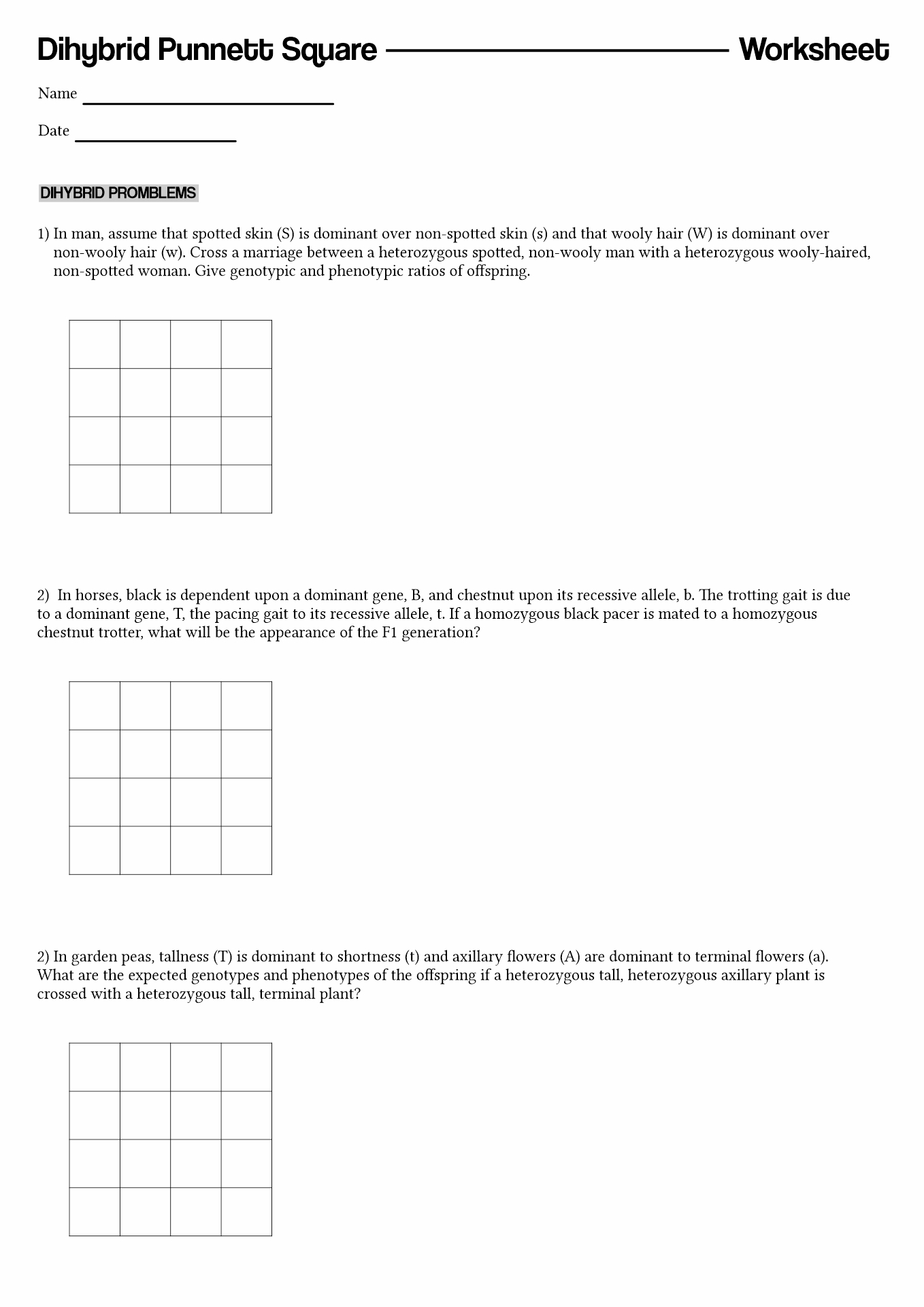 15 Best Images of Punnett Square Worksheet Answer Key 