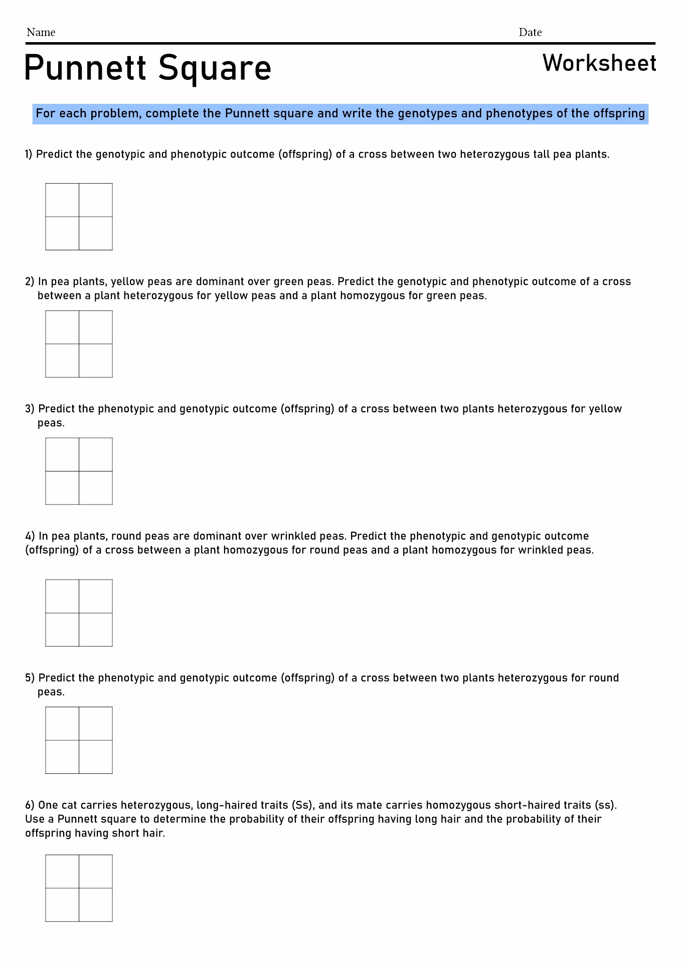 15 Best Images Of Punnett Square Worksheet Answer Key Punnett Square