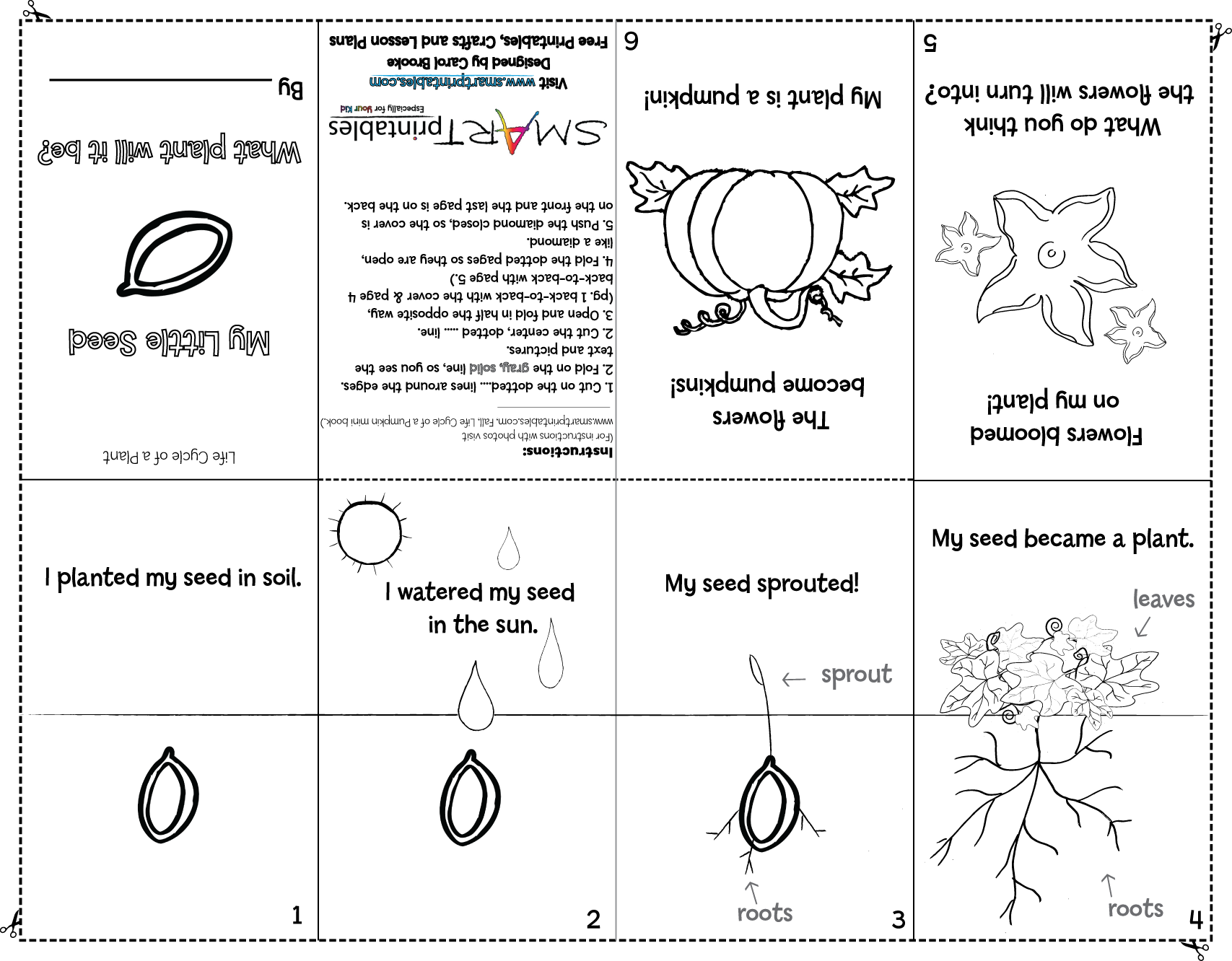 11 Best Images of Free Pumpkin Life Cycle Worksheets - Pumpkin Life