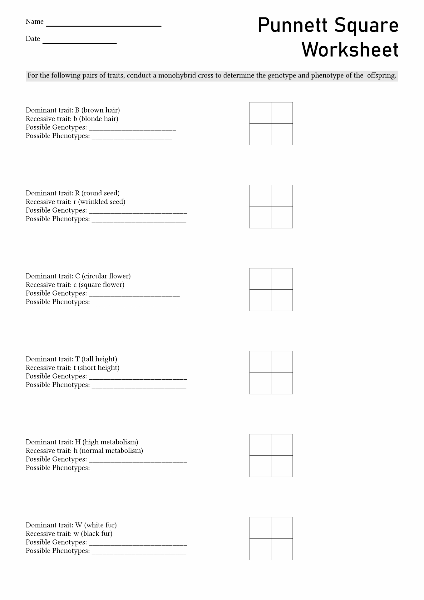 Punnett Square Practice Worksheet And Answer Key