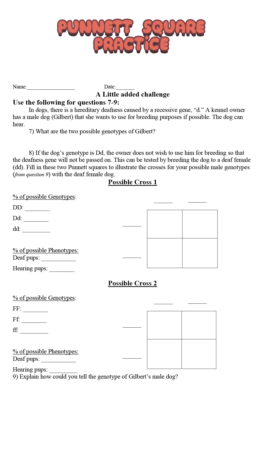 15 Best Images of Punnett Square Worksheet Answer Key 