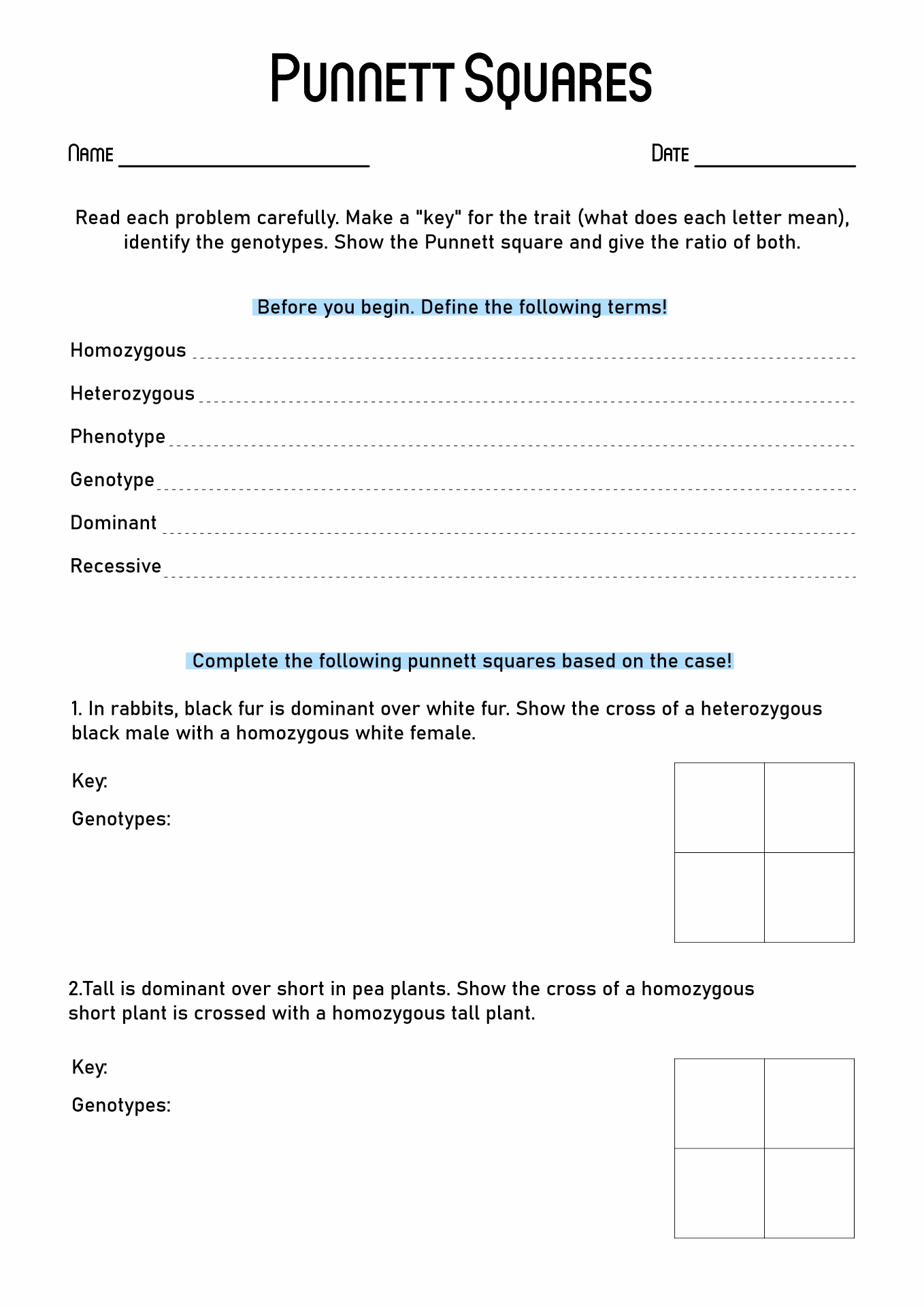 15 Best Images of Punnett Square Worksheet Answer Key 15 Best Images of Punnett Square Worksheet Answer Key