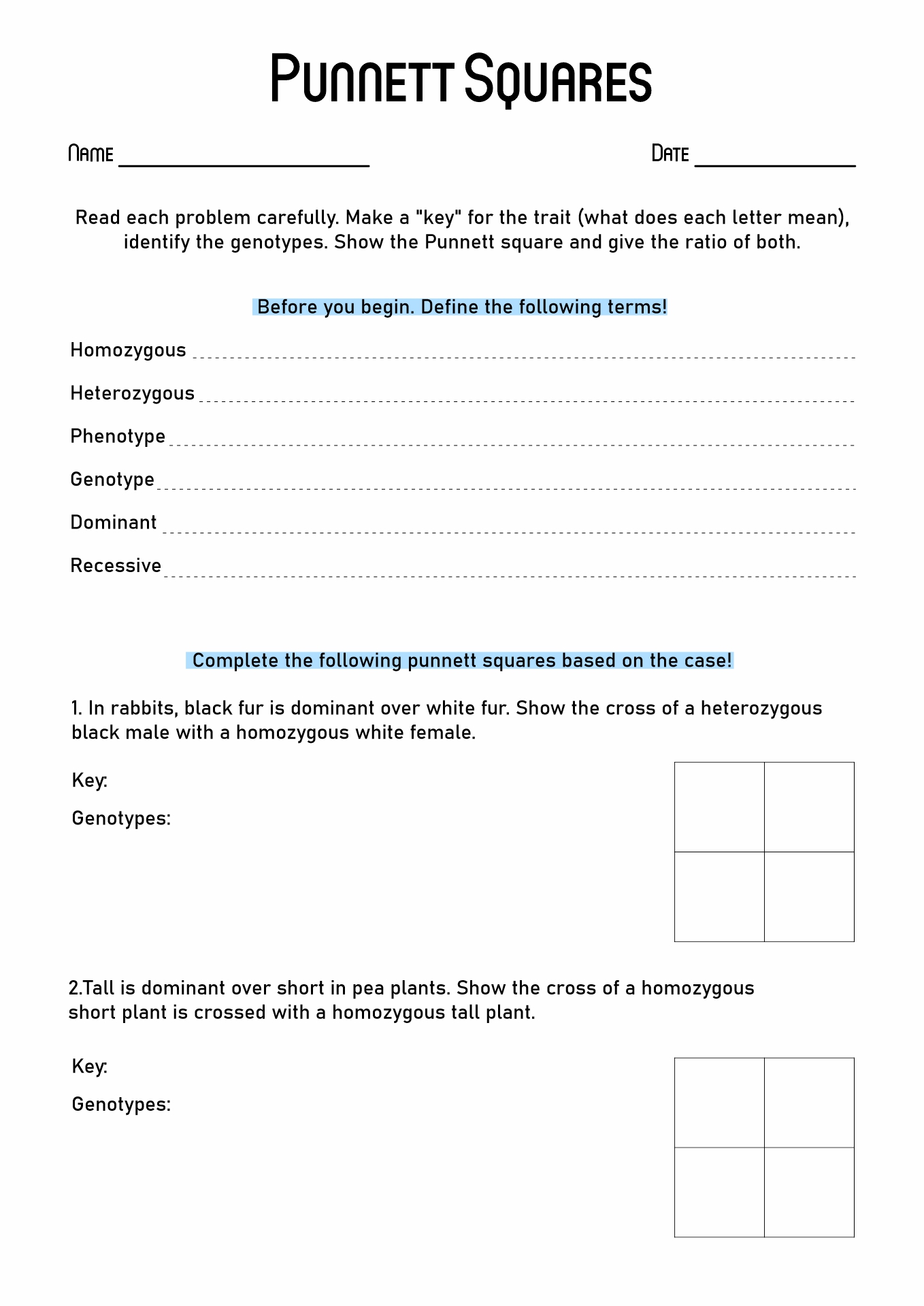 15 Best Images of Punnett Square Worksheet Answer Key 