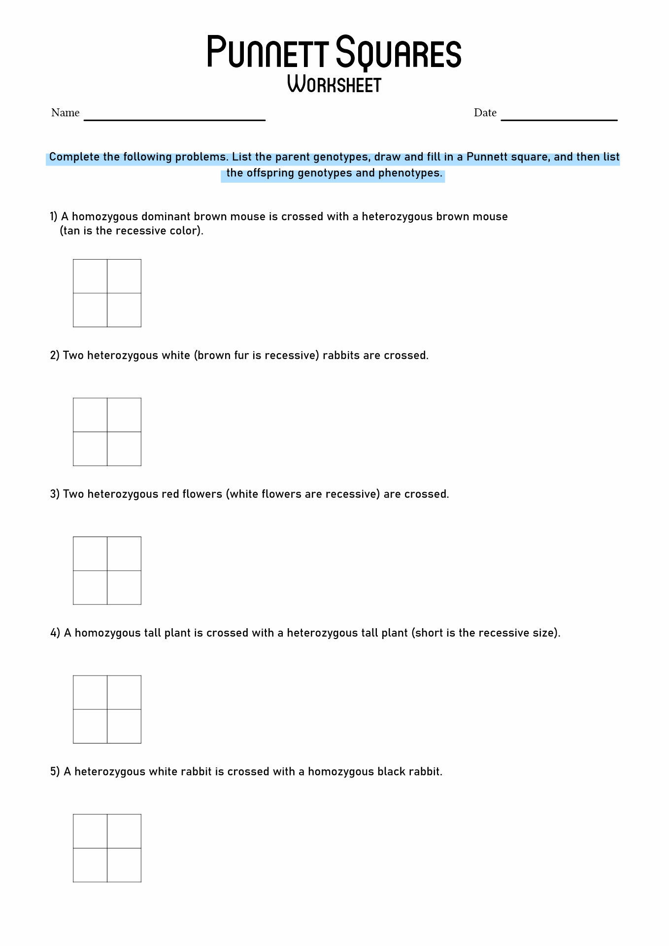 15 Best Images Of Punnett Square Worksheet Answer Key Punnett Square