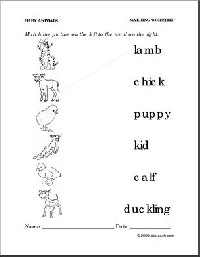 Animal and Their Babies Worksheet
