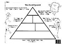 Blank Food Pyramid Worksheet