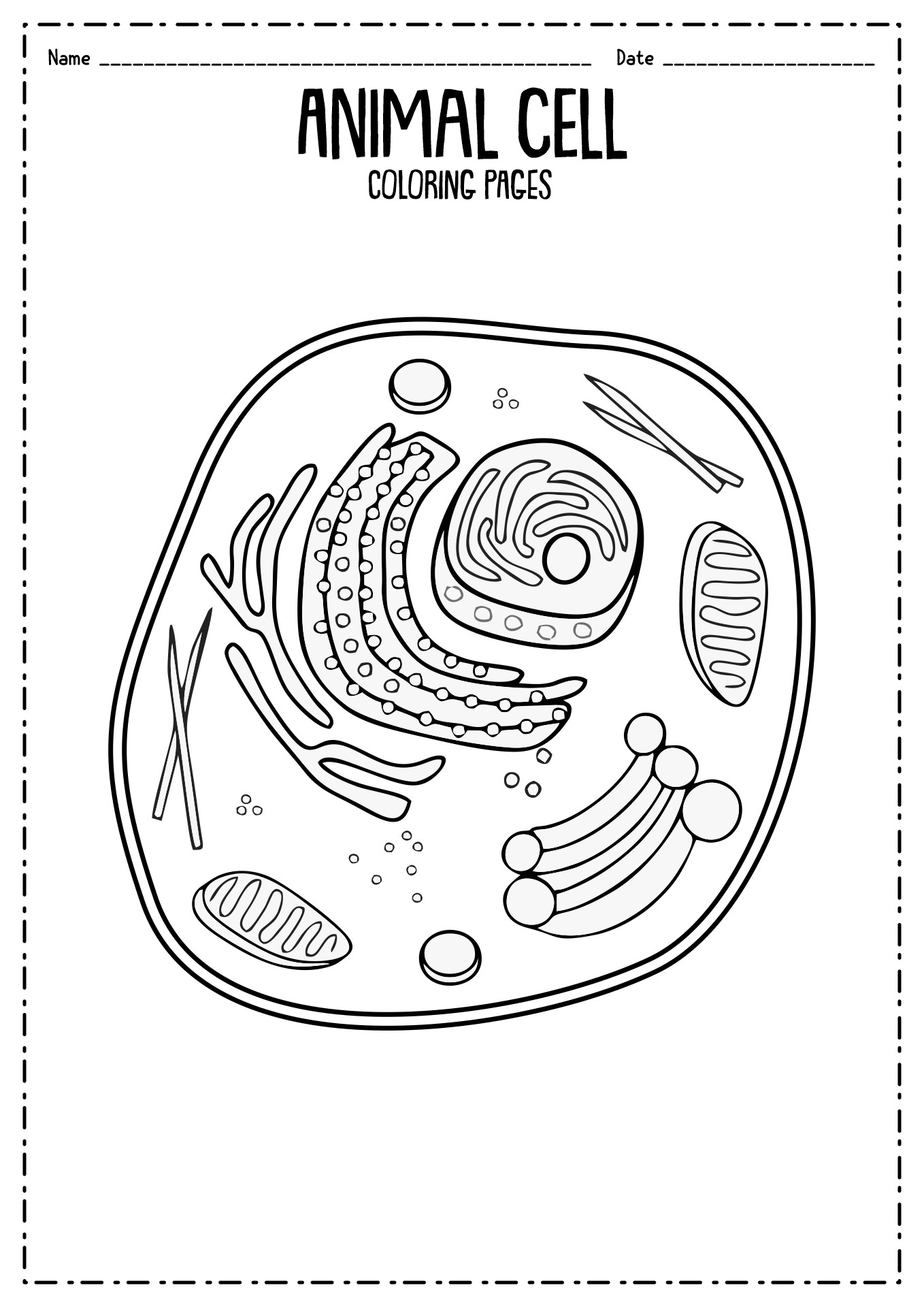 Animal Cell Coloring Diagram Coloring Pages