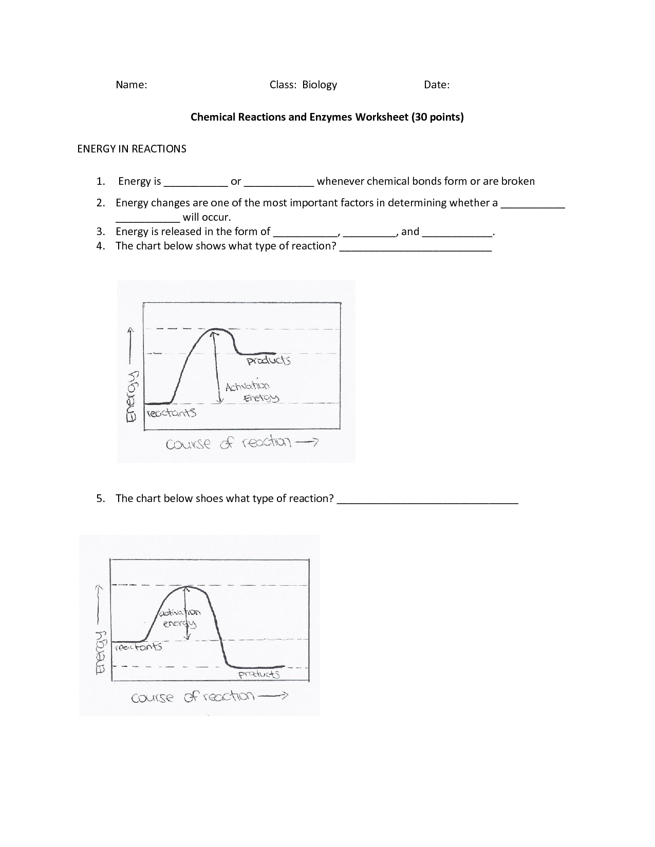 Enzymes Worksheet Answer Key