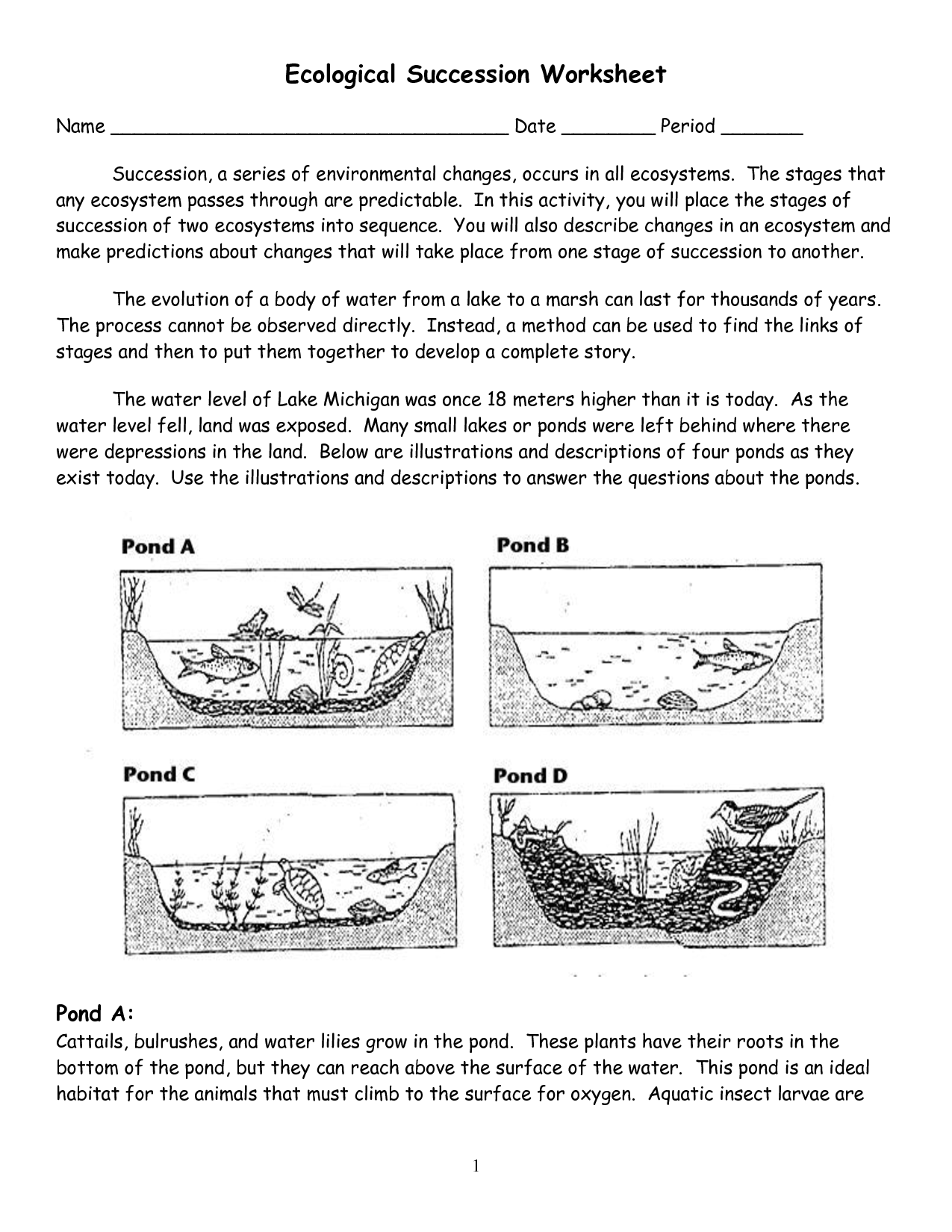 32 Ecology Interactions Within The Environment Worksheet Answers