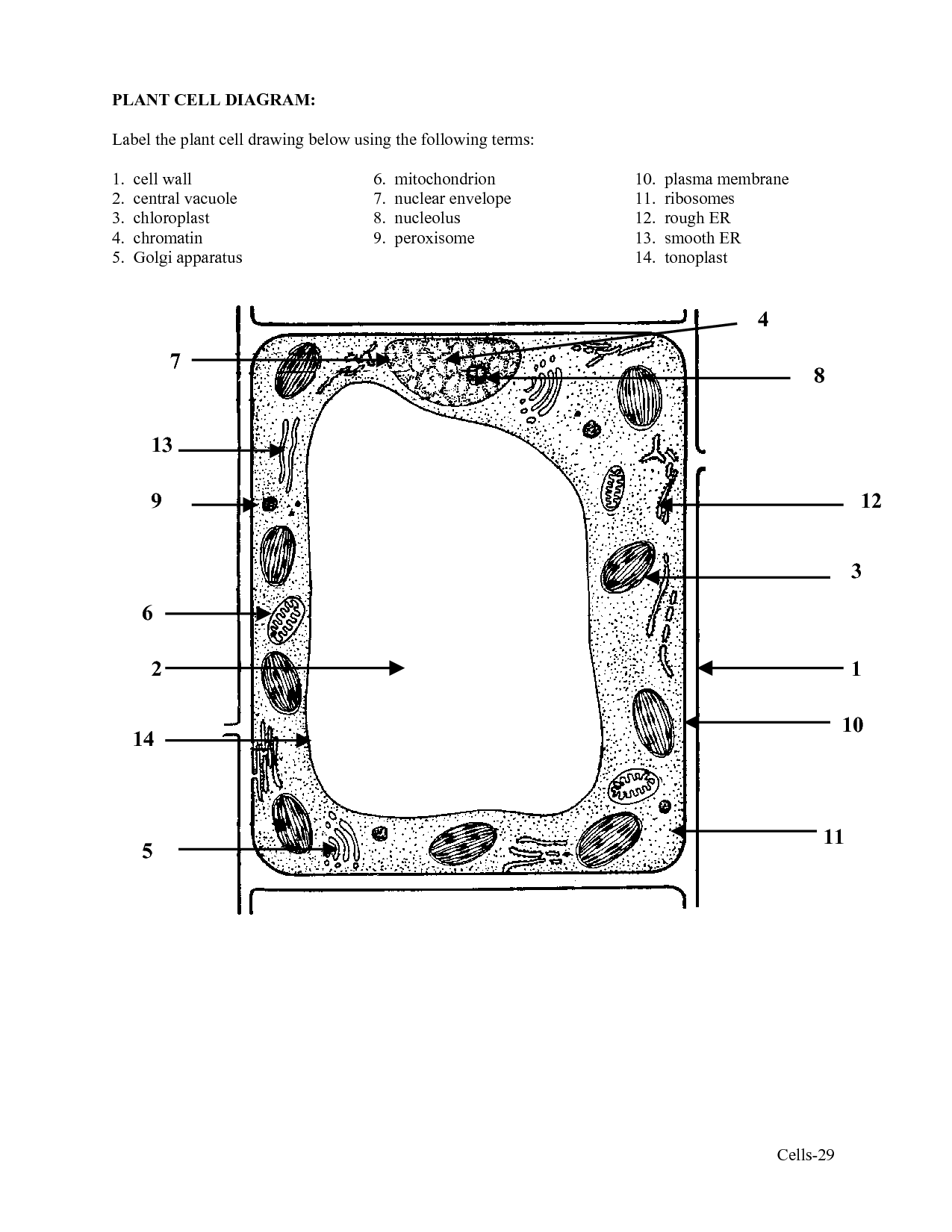 16 Best Images of Simple Microscope Labeling Worksheet ...