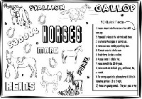 Horse Worksheets Activities