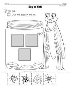 Bug Science Worksheets for Preschool
