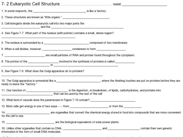 Eukaryotic Cell Structure Worksheet
