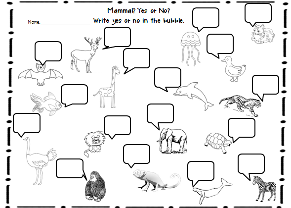 15 Best Images of Mammal Worksheets For Grade 1 - First Grade Animal