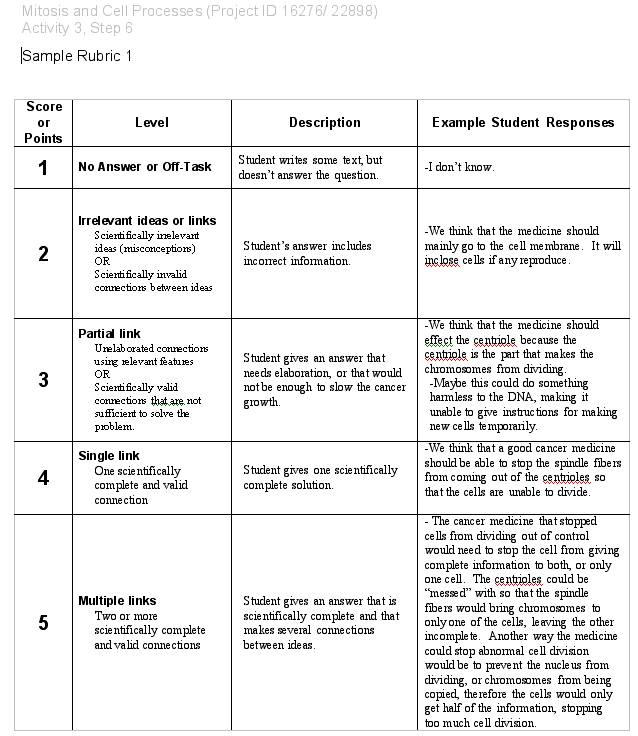Project Grading Rubric Examples