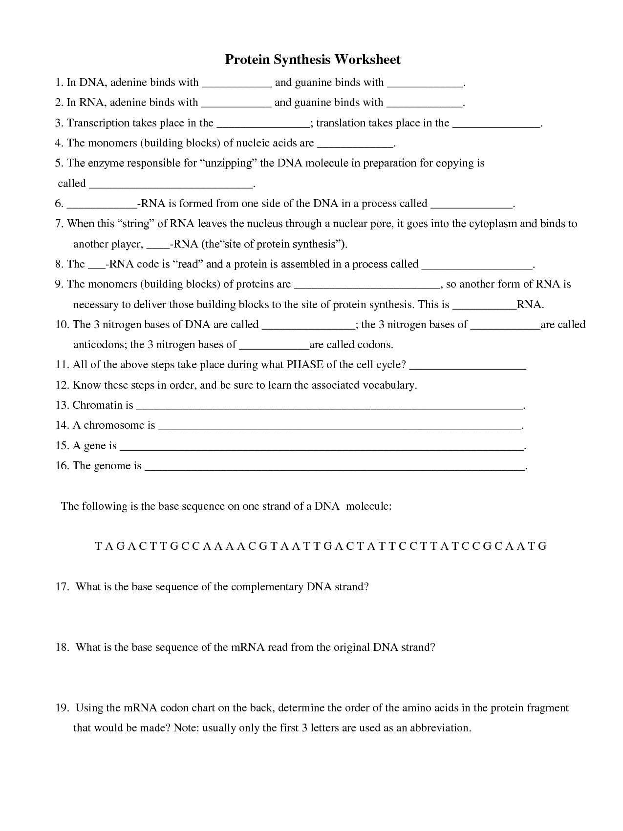 15 Best Images of Nucleic Acids Worksheet Key - Protein Synthesis