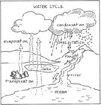 Printable Water Cycle Worksheets