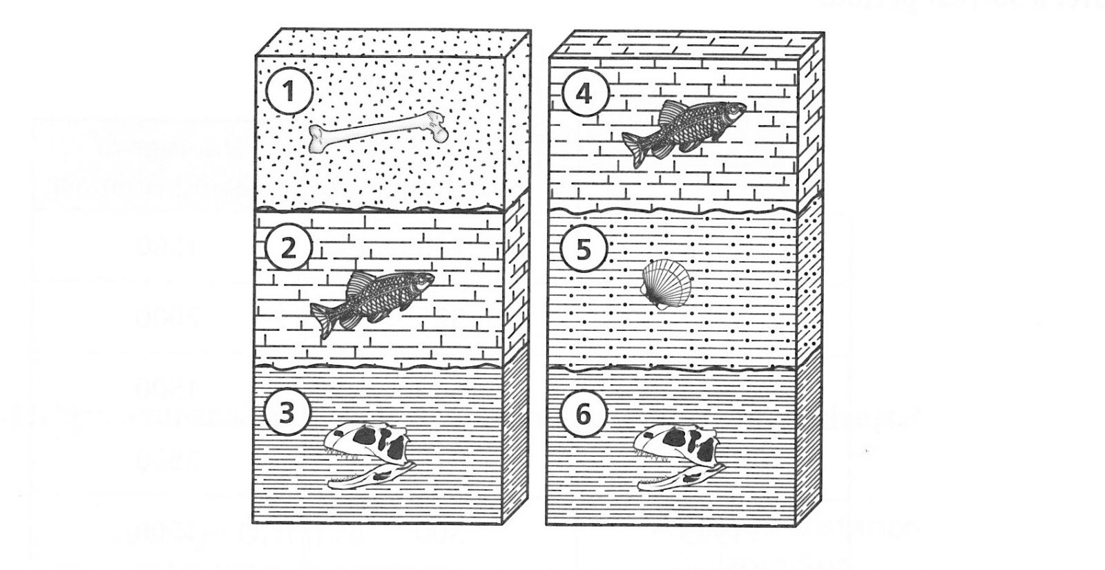 13 Best Images of Geologic Time Worksheet Vocabulary - Plate Tectonics