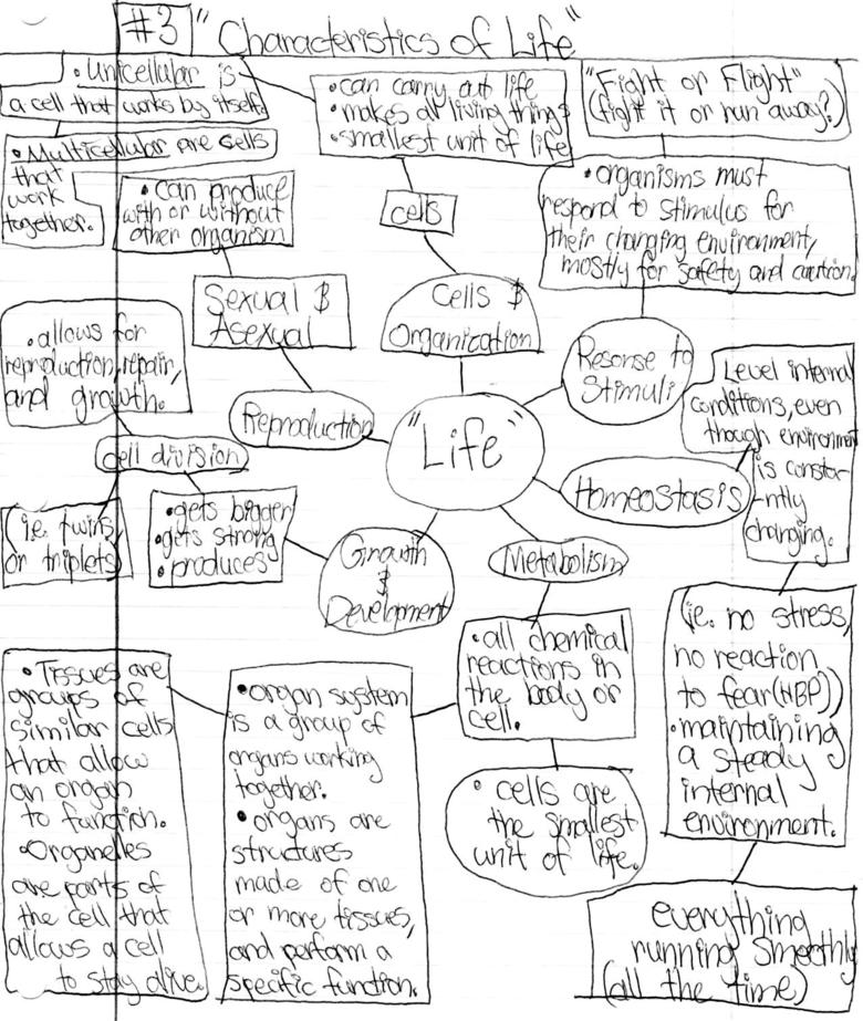 5-best-images-of-endocrine-system-worksheet-answers-endocrine-worksheet-answer-key-genetics