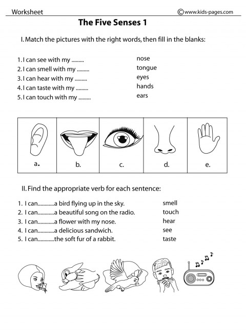 Printable Five Senses Worksheets