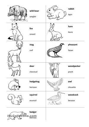 11 Best Images of Articles And Demonstratives Worksheets - Examples of