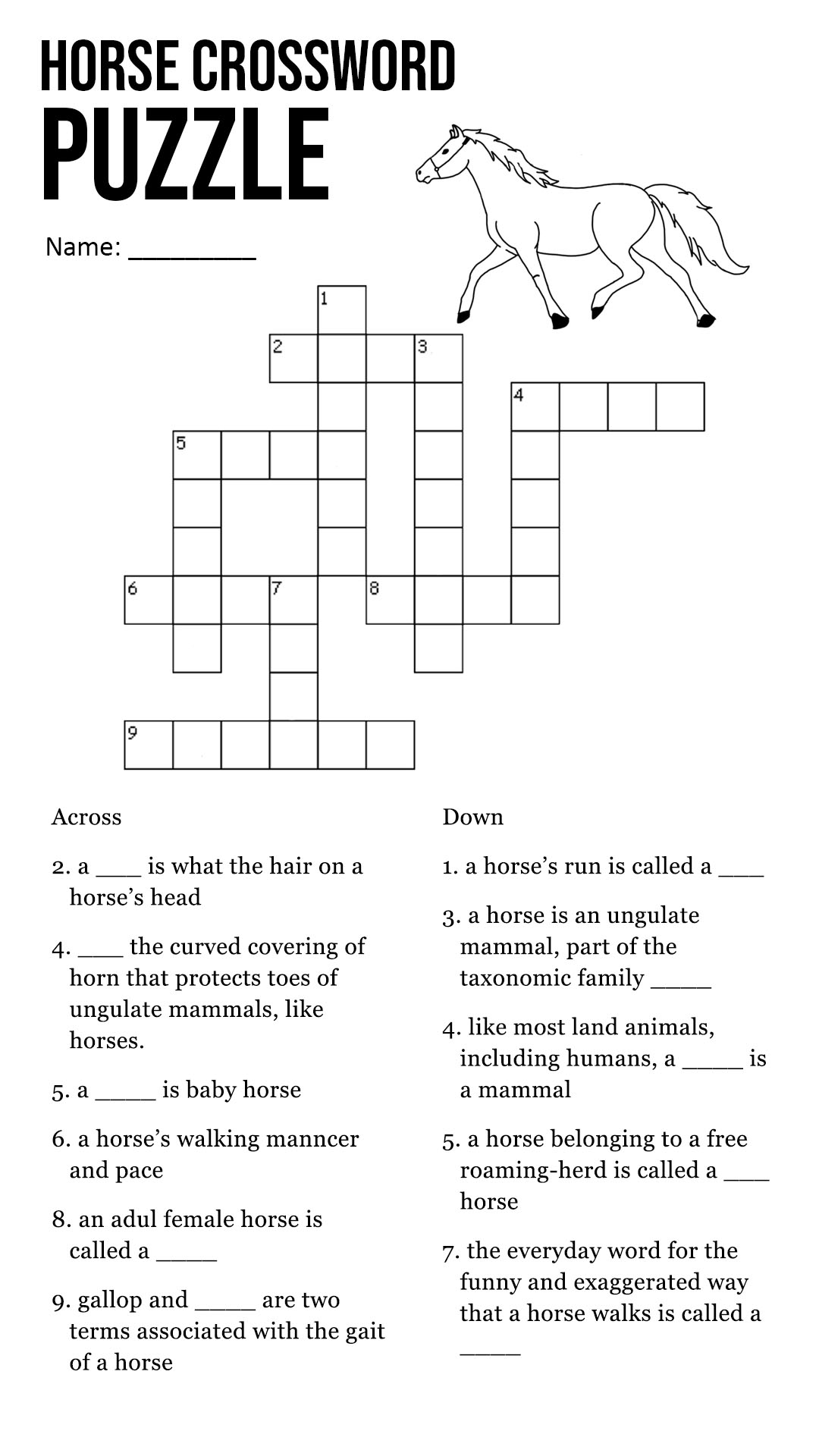 17 Best Images Of Saddle Worksheets Printable Part Western Saddle Fill In Blank Worksheet