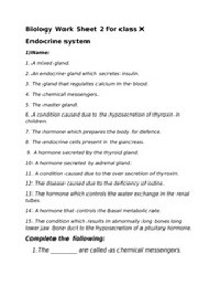 Endocrine System Worksheets