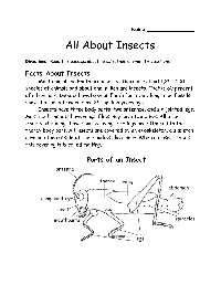 Insect Reading Comprehension Worksheets