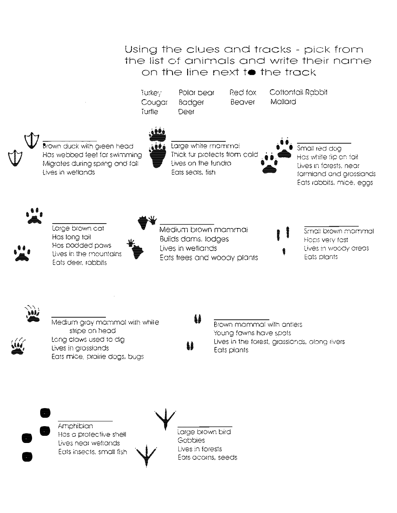 17-recovery-support-worksheet-worksheeto