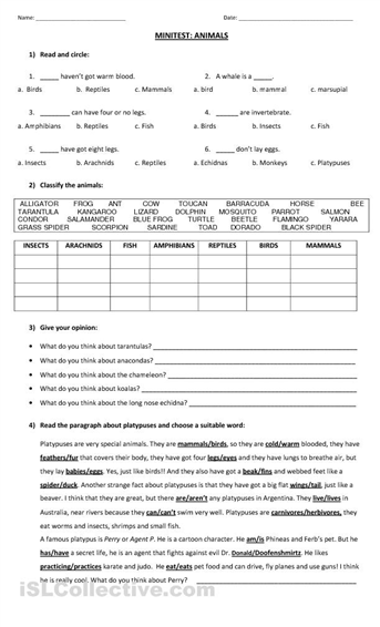12-best-images-of-5-kingdom-classification-worksheets-animal-kingdom-classification-worksheet