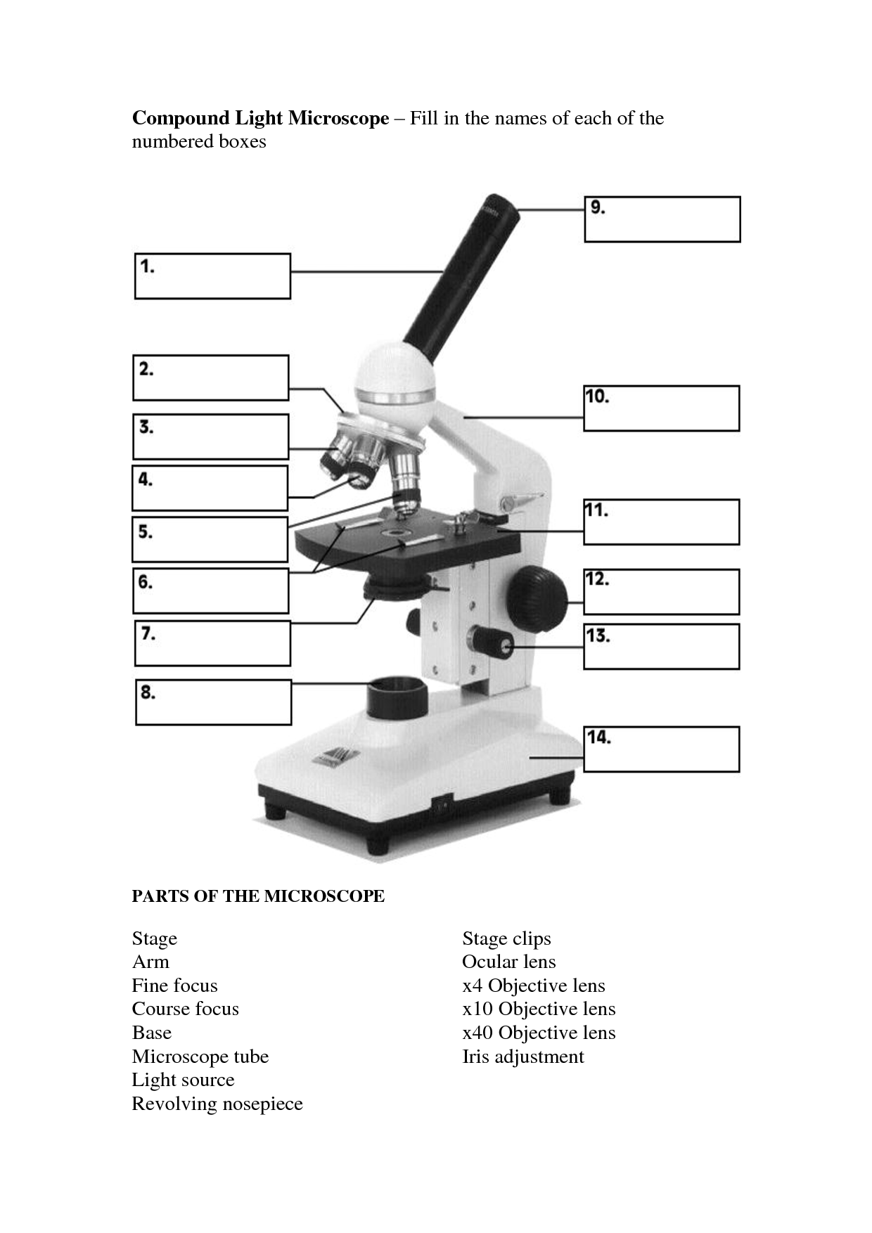 Other Worksheet Category Page 870 - worksheeto.com