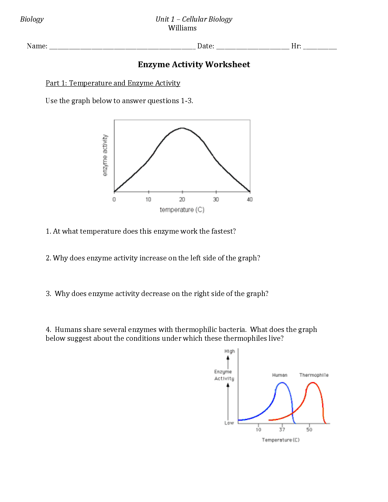 14-best-images-of-how-enzymes-work-worksheet-biology-enzyme-worksheet-high-school-enzyme