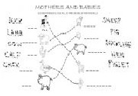 Animal Mothers and Babies Worksheet