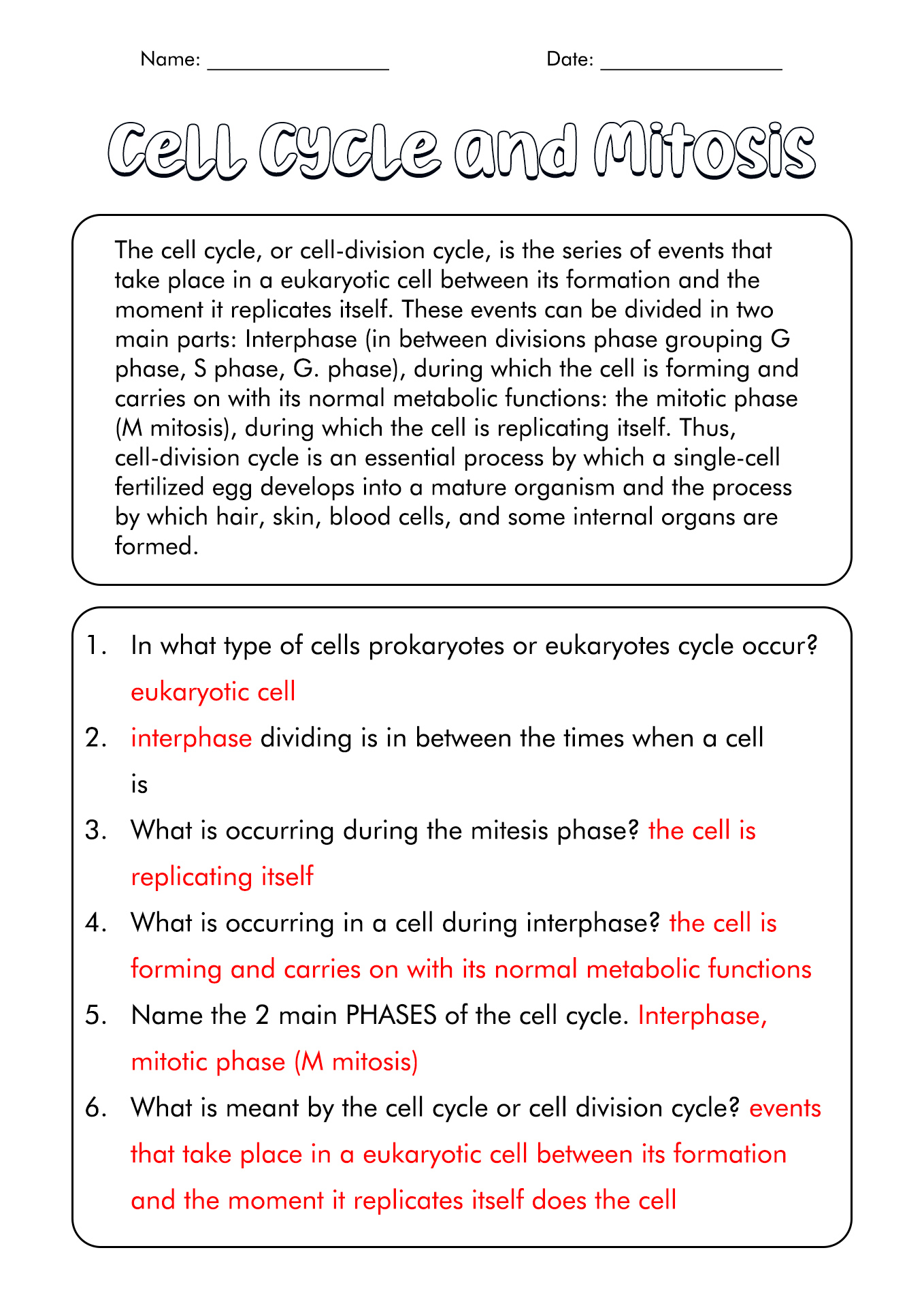 10-onion-cell-mitosis-worksheet-answers-quizlet-worksheets-decoomo