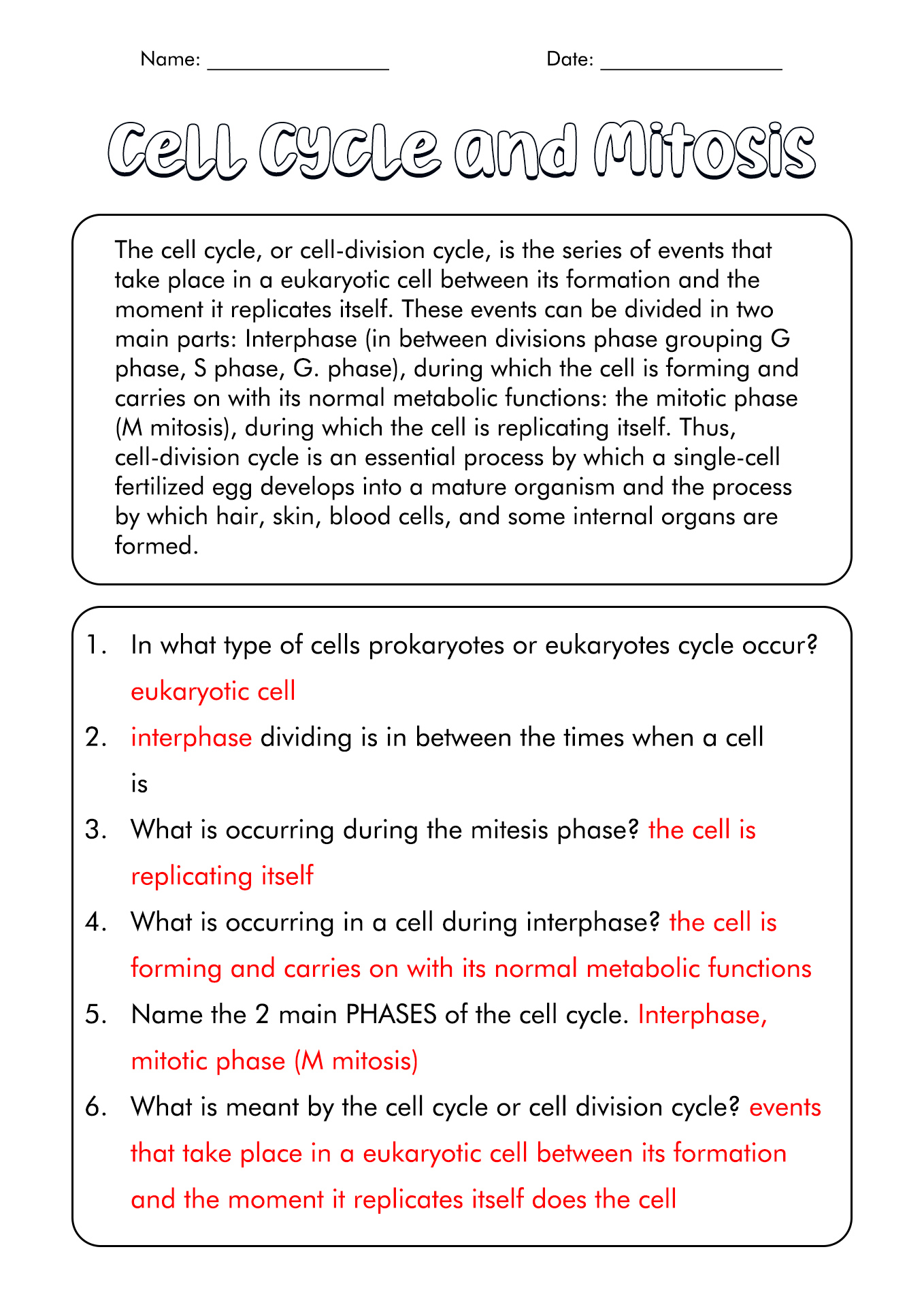 phases-of-mitosis-worksheet-answers