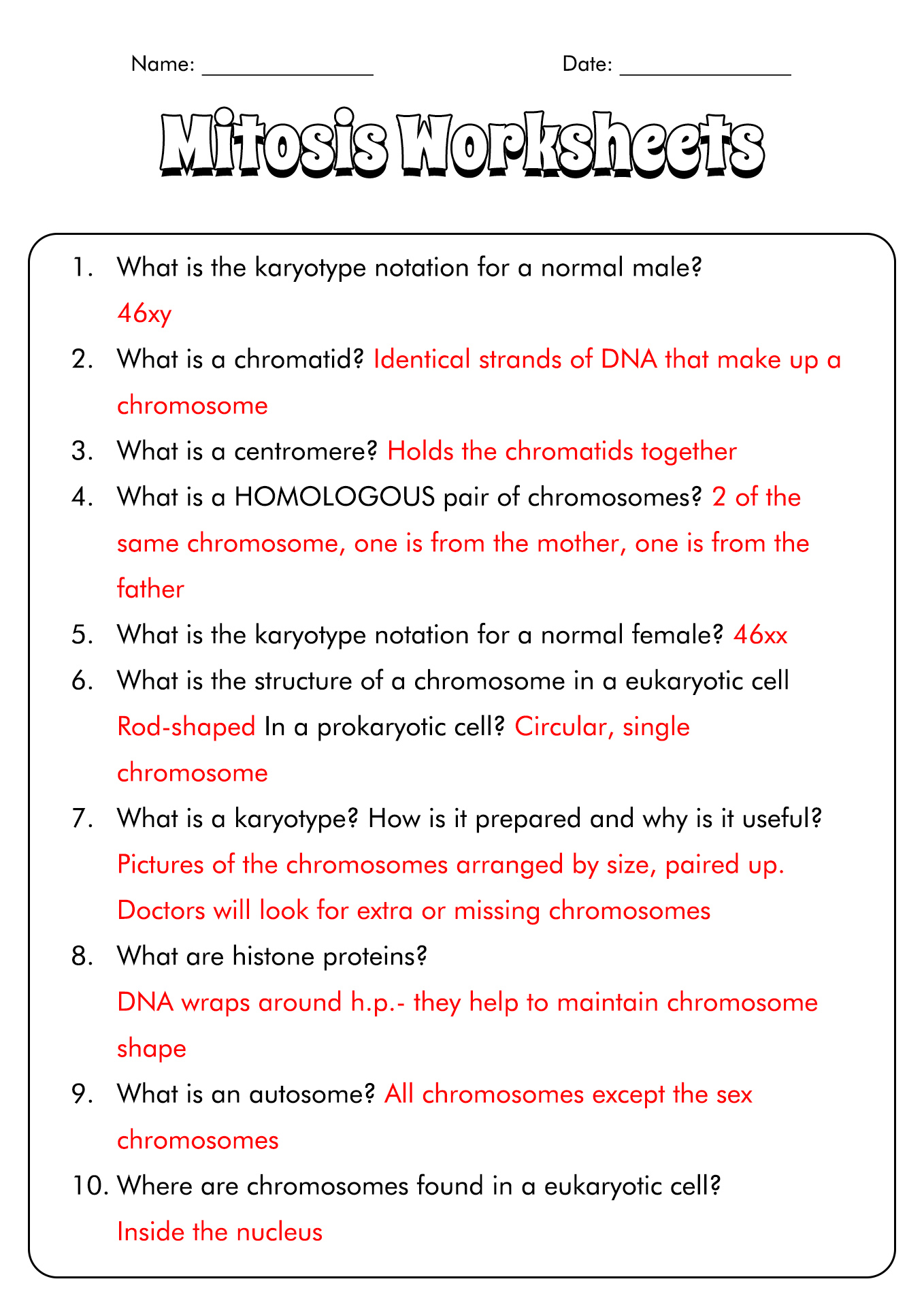 Onion Cell Mitosis Worksheet Answers