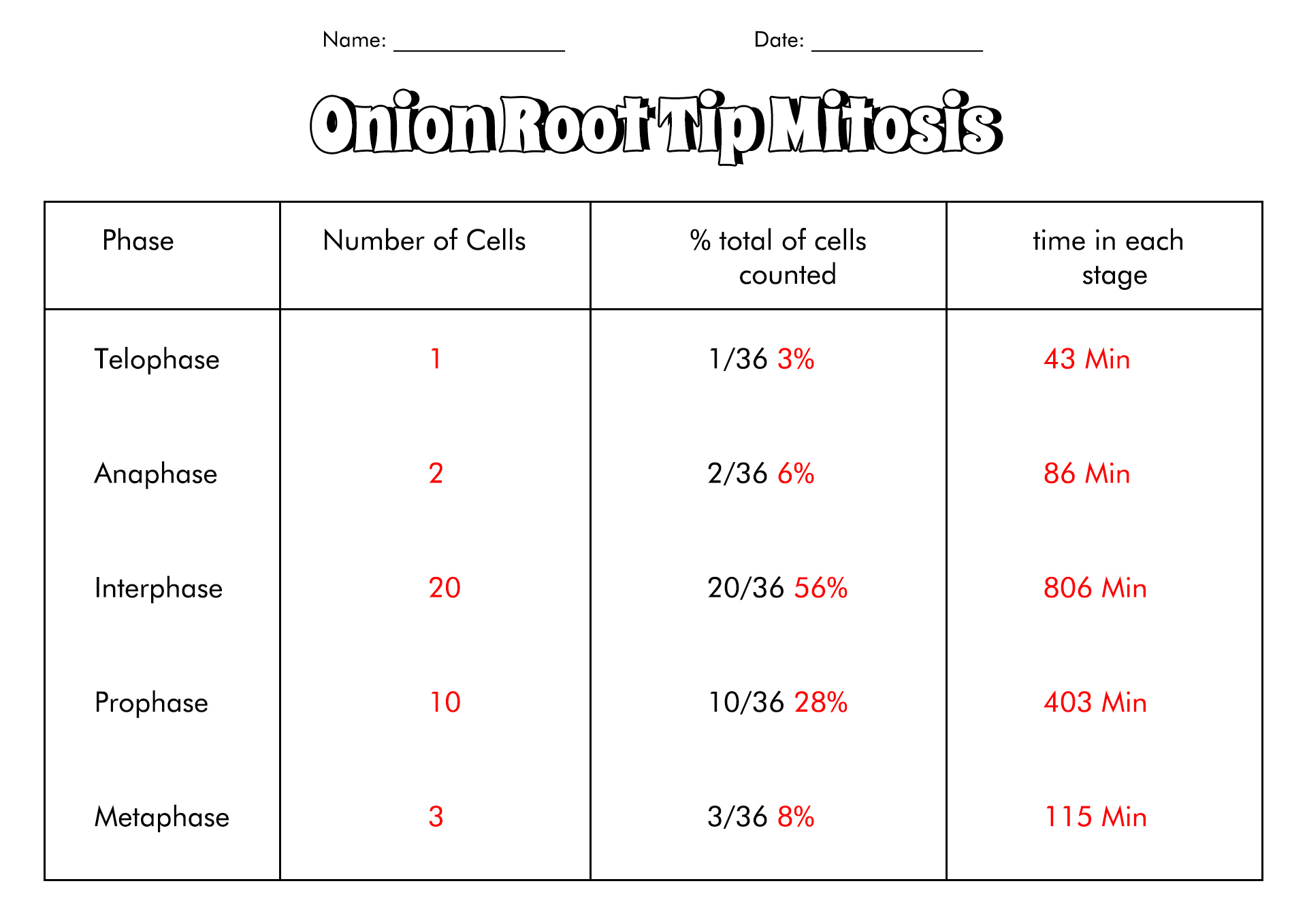 Onion Cell Mitosis Worksheet Answers