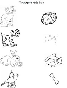 Pets Preschool Theme Worksheets