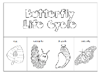 Butterfly Life Cycle Printable Worksheet