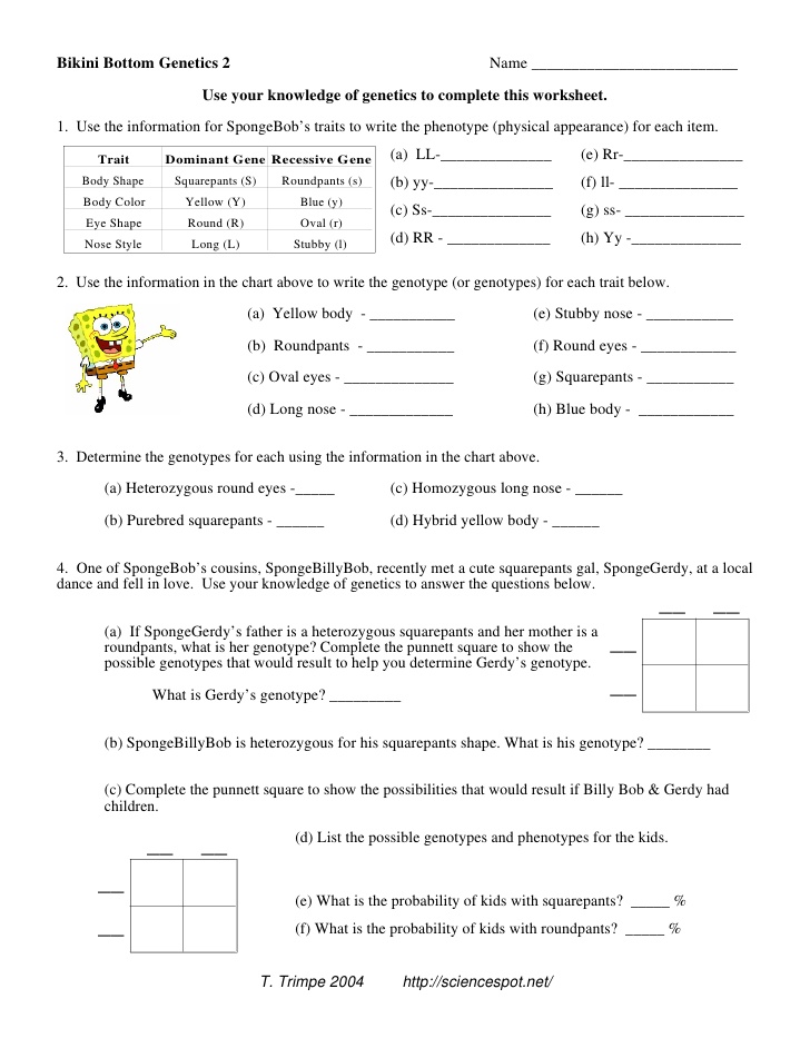 15-best-images-of-genetic-punnett-squares-worksheets-punnett-square-worksheets-genetics