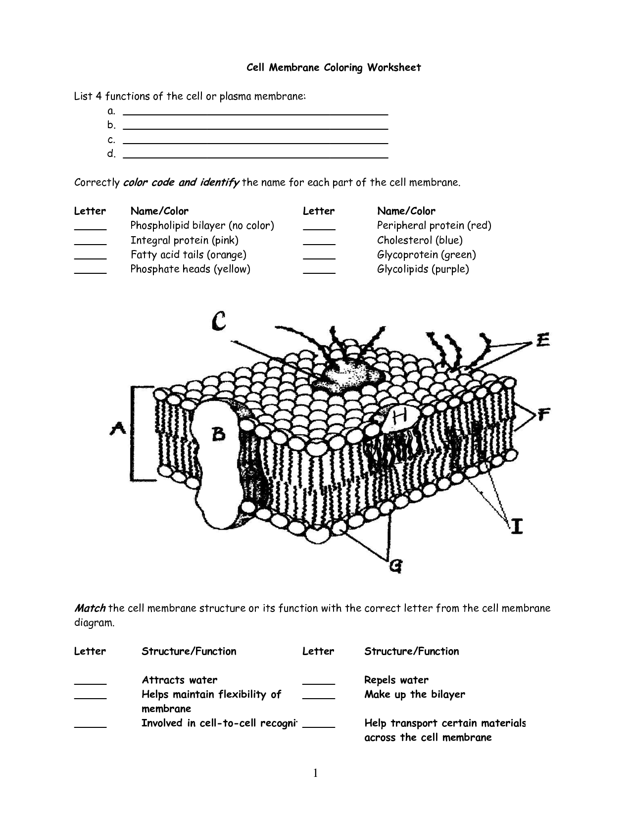 the hilbert transform of