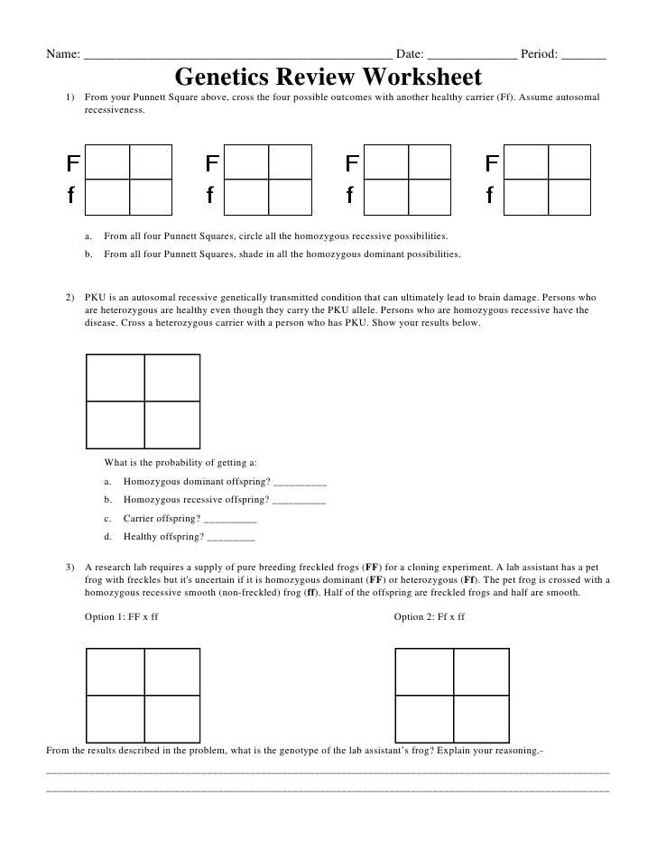 15 Best Images of Genetic Punnett Squares Worksheets 15 Best Images of Genetic Punnett Squares Worksheets