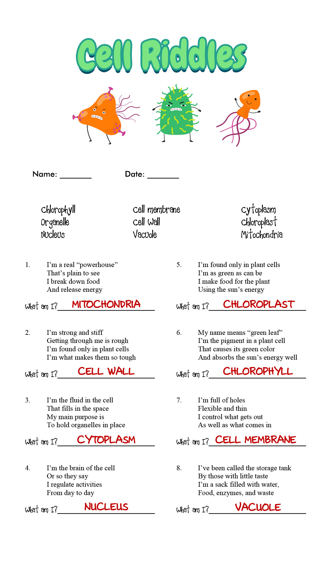 14 Best Images of Cell Organelle Riddles Worksheet Answers  Cells and Their Organelles 