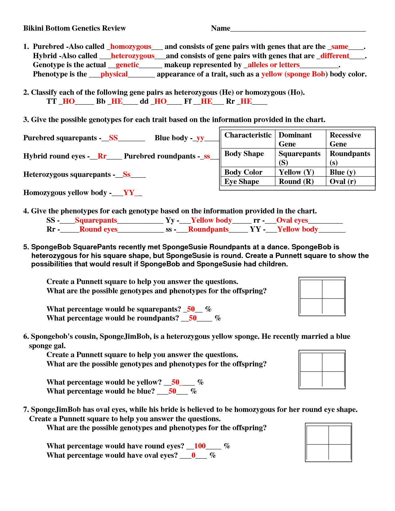 15-best-images-of-genetic-punnett-squares-worksheets-worksheet-template-tips-and-reviews