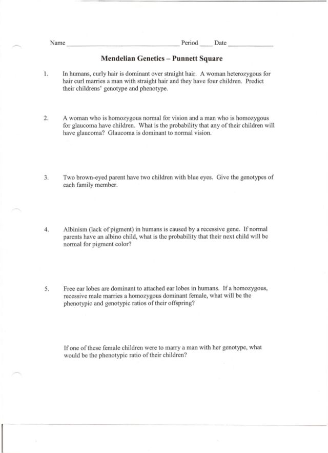 15 Best Images of Genetic Punnett Squares Worksheets - Punnett Square