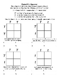 15 Best Images of Robot Math Worksheets - Shape Robot Game, Printable