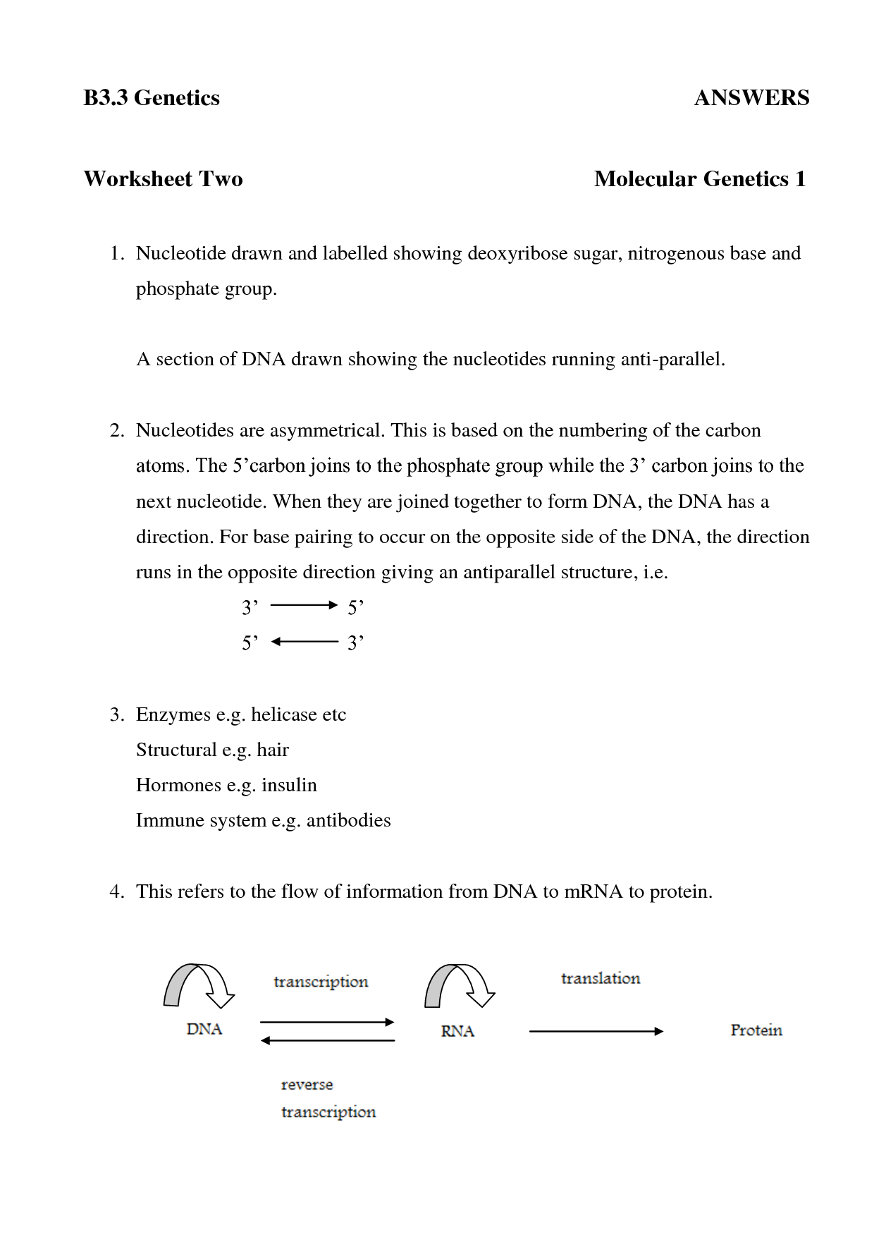 DNA and Protein Synthesis Worksheet Answers