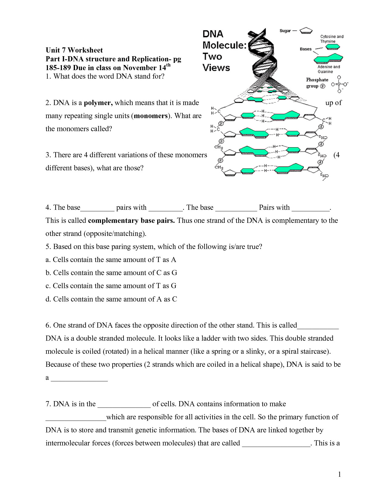 DNA Structure Worksheet Answer Key
