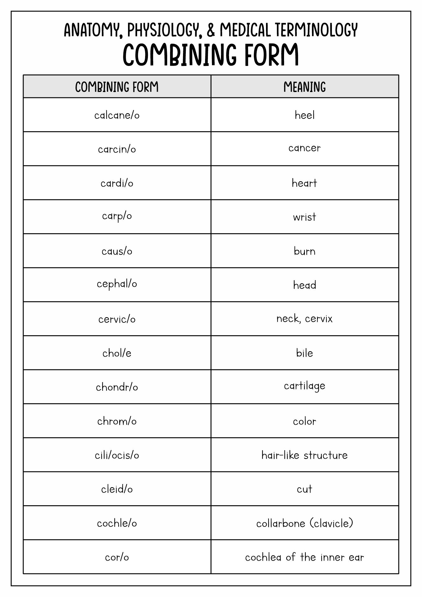 medical terminology word parts_500808